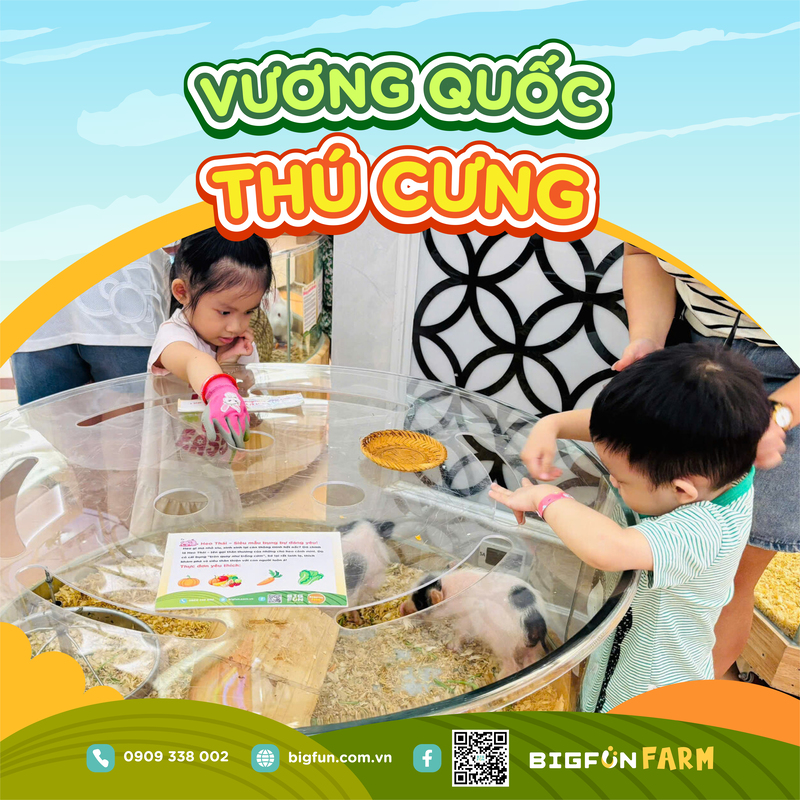 Nhiều góc vui chơi đáng nhớ